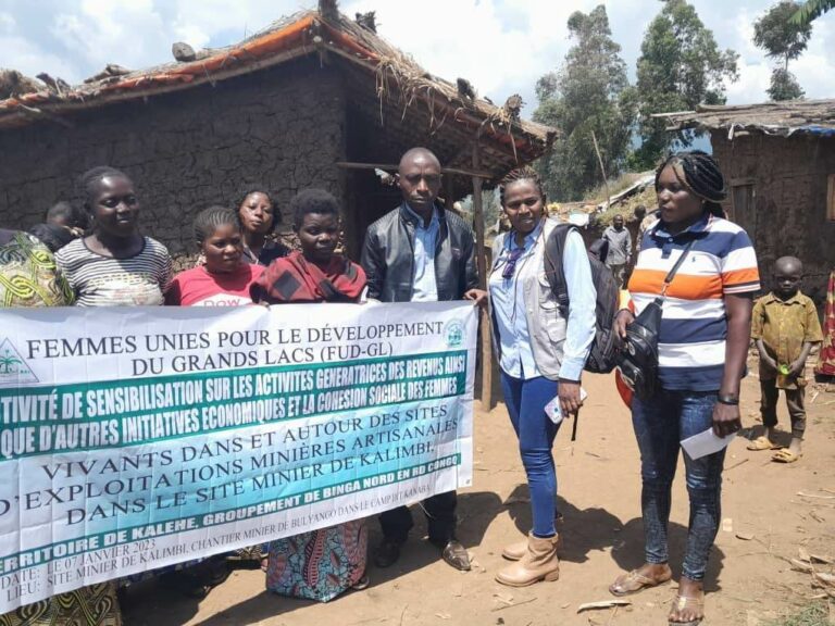 Kalehe Des Femmes Vivant Dans Et Autour Des Sites Miniers