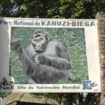 Parc National de Kahuzi Bièga
