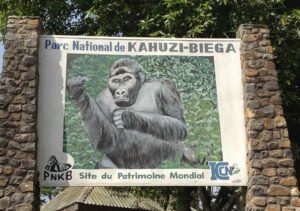 Parc National de Kahuzi Bièga