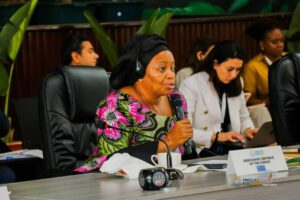la Ministre de l’Environnement et Développement Durable en République Démocratique du Congo, Eve Bazaiba
