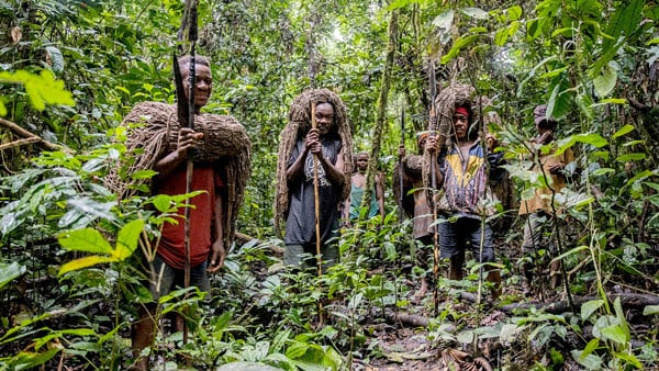 Un groupe de chasseurs Mbuti utilisant des filets dans la Réserve de faune d'Okapi © FAO/Thomas Nicolon