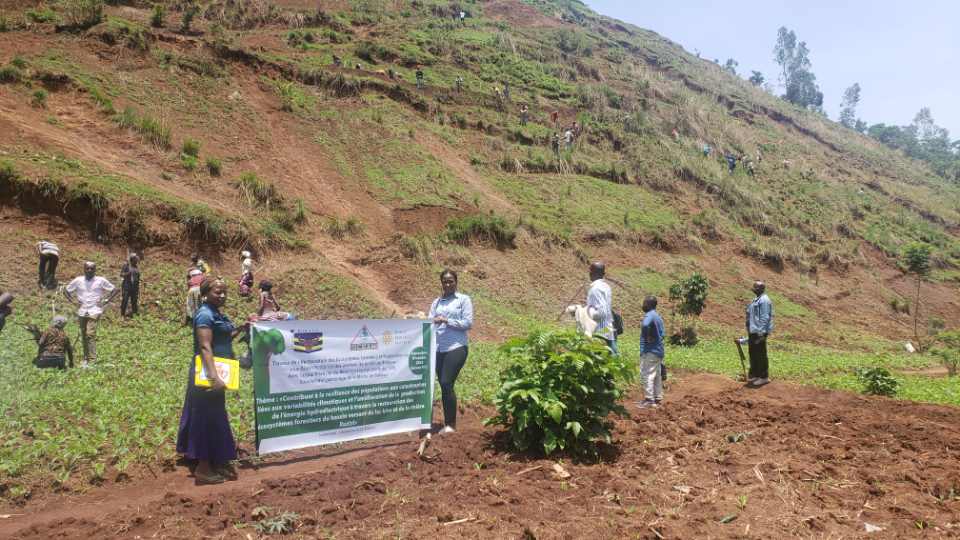 OCEAN débute les travaux de plantation d'arbres au sous-bassin de la rivière Ruzizi