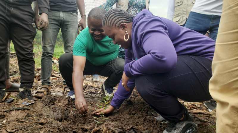 Plantation d'arbres à la rivière Ruzizi « OCEAN »