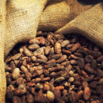 Cacao en RDC