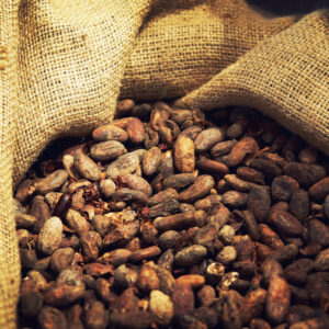Cacao en RDC