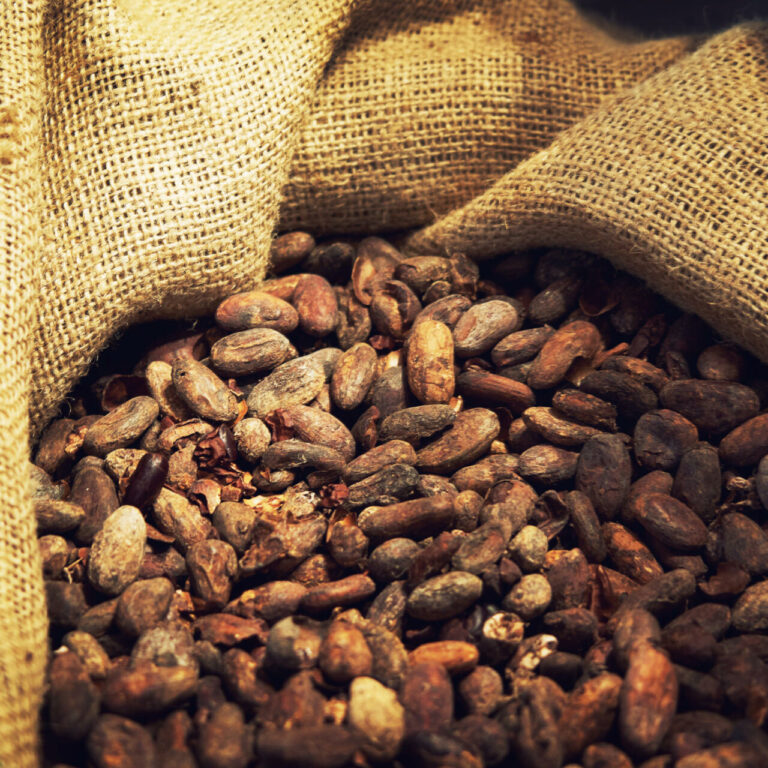 Cacao en RDC