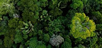 La biodiversité
