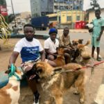 Journée mondiale du chien : la considération sociale des chiens à Bukavu