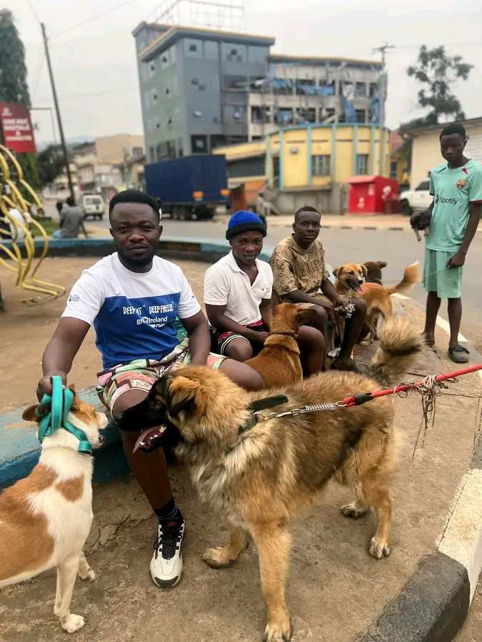 Journée mondiale du chien : la considération sociale des chiens à Bukavu