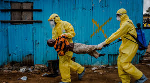 Virus d'Ebola