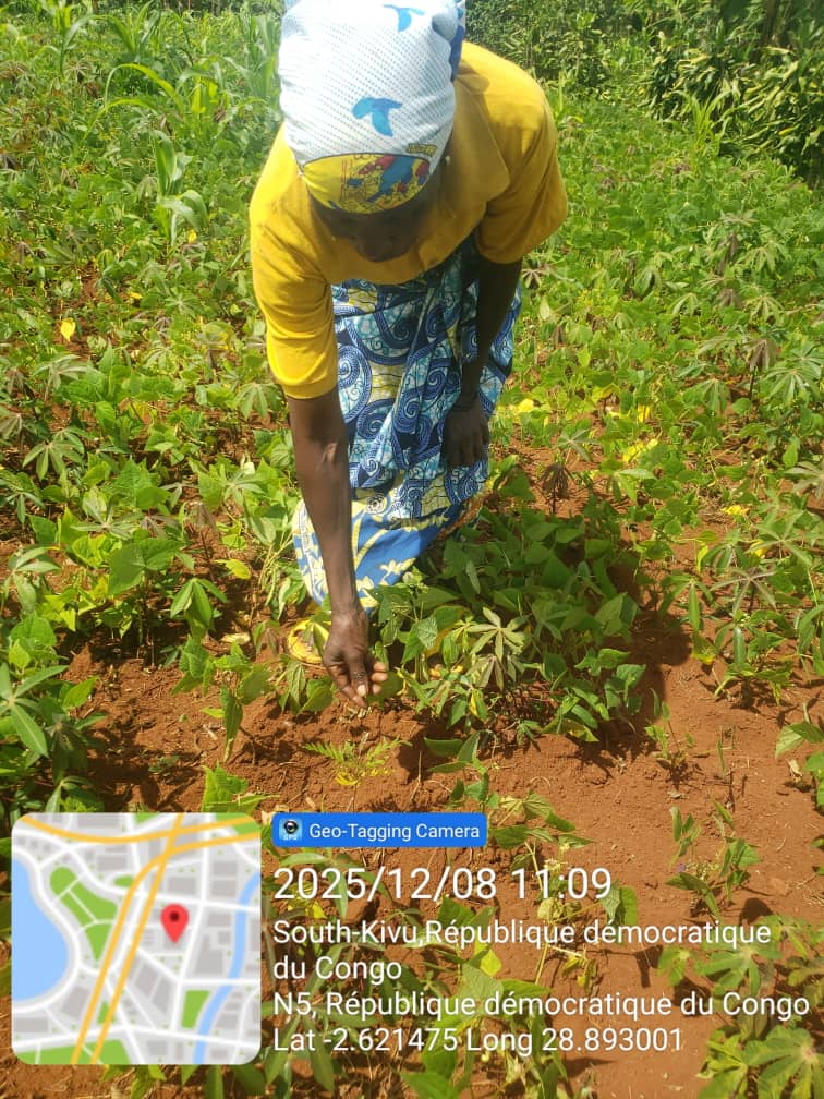 Géoréférencement des arbres à Mumosho