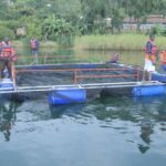 La piscicultre dans la ville de Bukavu