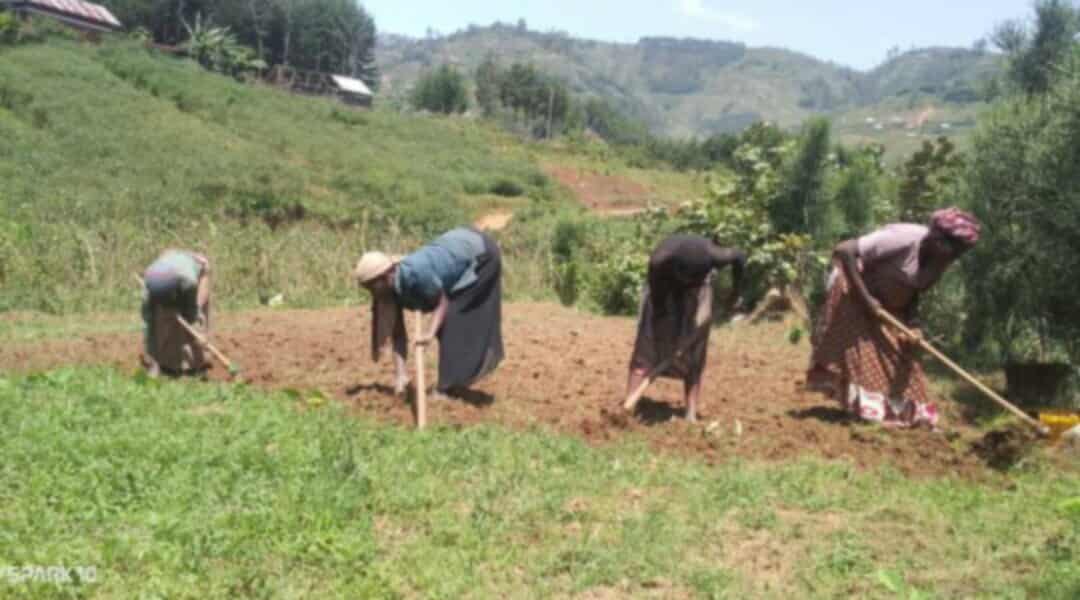 crise agricole majeure au Sud-Kivu