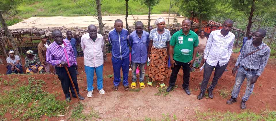 Ocean plante les arbres à Mumosho