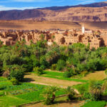 palmeraie-de-tinerhir-vallee-du-dades-maroc-ignacio-soto-jose-25011