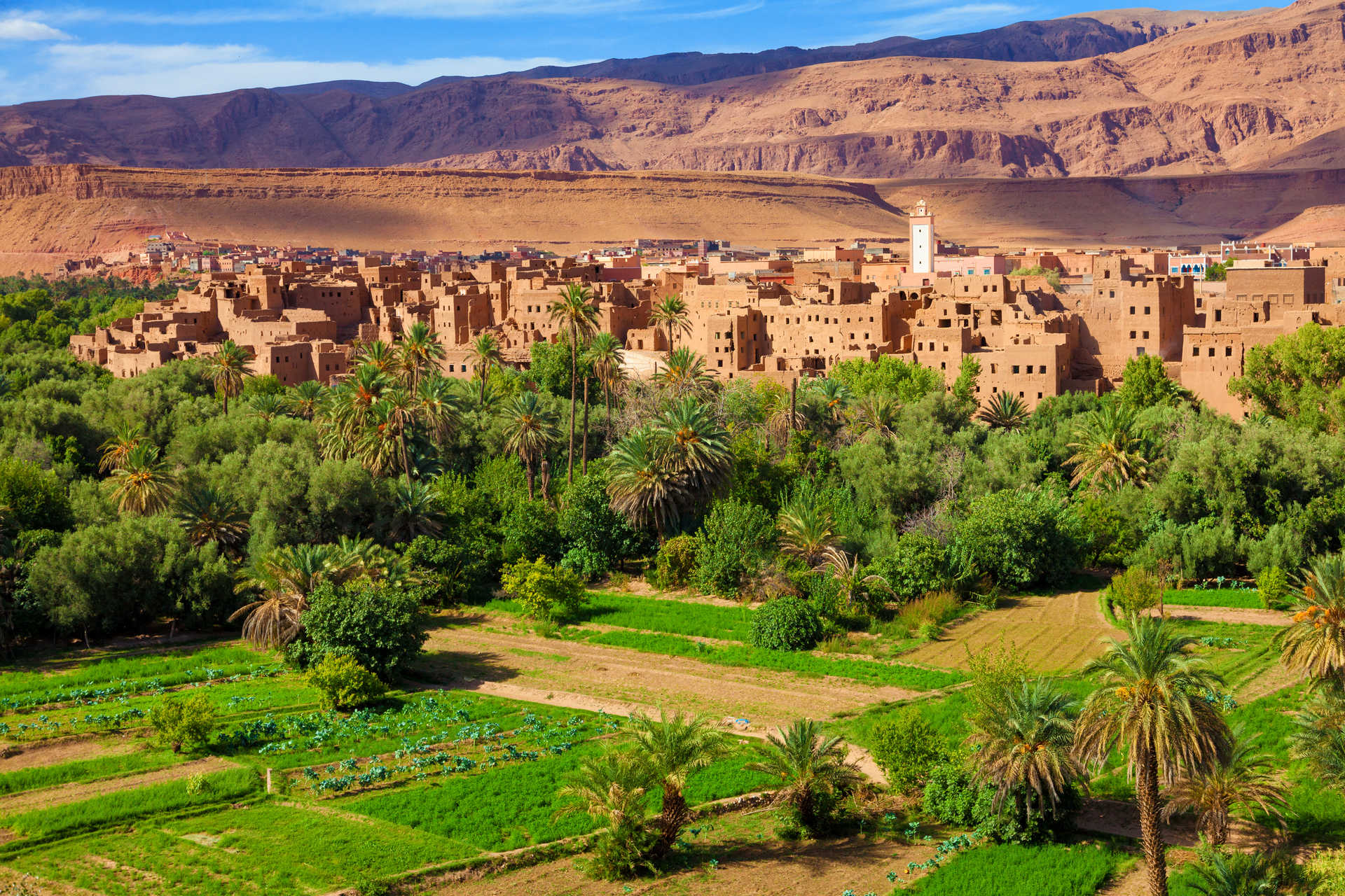 palmeraie-de-tinerhir-vallee-du-dades-maroc-ignacio-soto-jose-25011