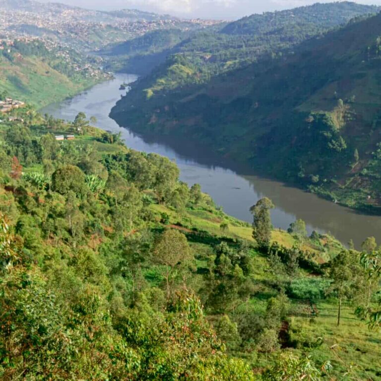 La rivière Ruzizi