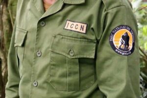 ICCN